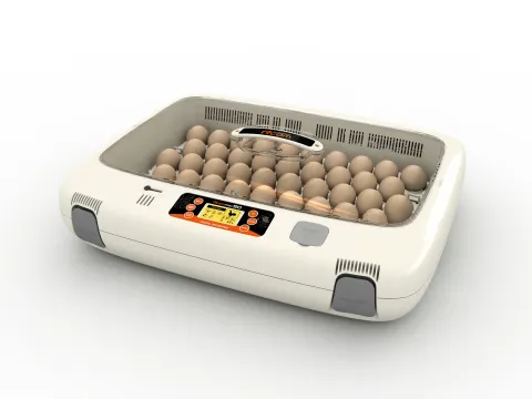 Rcom Avian Egg Incubator Hatcher Pro Series – PX50