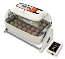 Rcom Kingsuro MX20suro Tabletop 20-Egg Incubator