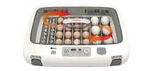 50-egg Rcom incubators for small breeders. Suitable for about 50 chicken eggs, 25 duck/goose eggs, or 100 quail eggs