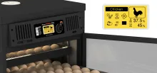 Rcom Maru PX200SD Deluxe Incubator | High-Capacity Automated Egg Hatcher with Universal Egg Trays 2