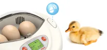 Rcom Educational Series – Mini Pro PX03 EZ Scope Bird Egg Incubator Hatcher 4
