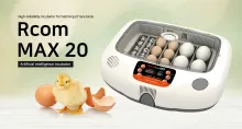 Rcom Max MX20 Compact Bird Egg Incubator Hatcher 1