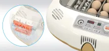 Rcom MX20DO Series – Compact Digital Bird Egg Incubator & Hatcher 7