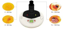 Rcom Educational Series – Mini Pro PX03 EZ Scope Bird Egg Incubator Hatcher 7